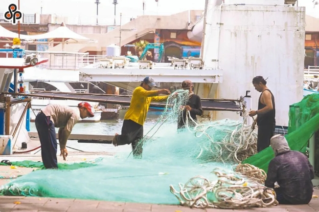 移工協助卸魚、整理漁獲物、整補漁網具、補給漁船資材等工作。(中時新聞網)